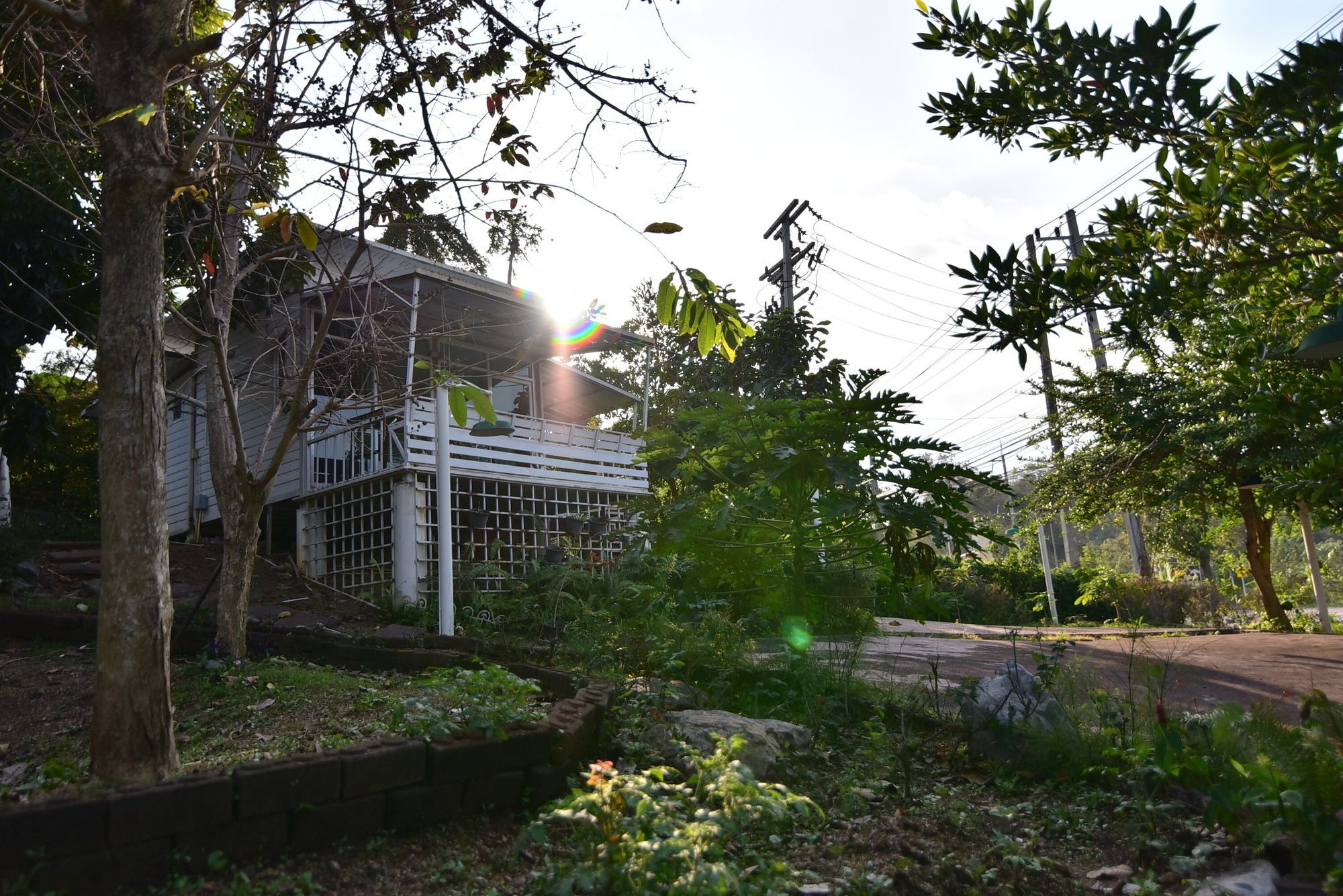 Bambusa Nakhon Ratchasima Extérieur photo